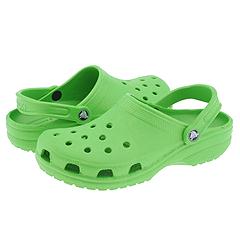 The Croc, Scourage of a Generation